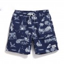 Bermuda Men's Beachwear Summer Simple Calitta Print