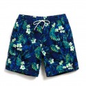 Bermuda Men's Short Chronic Casual Summer Fashion