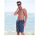 Male Bathing Suit Animal Print Detailed Shark Fashion Beach