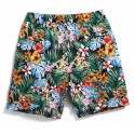 Bermuda Exclusive Male Floral Pattern Fashion Beach Summer Calitta