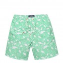 Men's Casual Swimwear Fashion Beach Summer Print Ardeidae