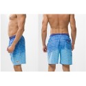 Bermuda bath Men Printed Striped Casual Elegant