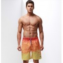 Bermuda bath Men Printed Striped Casual Elegant