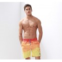 Bermuda bath Men Printed Striped Casual Elegant