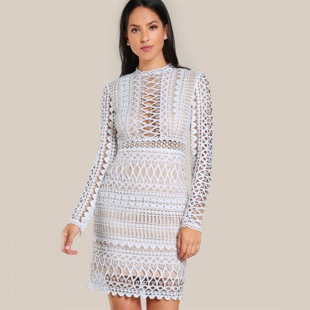 Elegant Lace Women's Party Dress Sexy Casual Long Sleeve