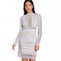 Elegant Lace Women's Party Dress Sexy Casual Long Sleeve