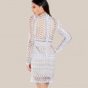 Elegant Lace Women's Party Dress Sexy Casual Long Sleeve