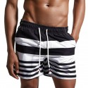 Short Striped Zebra Men's Casual Short Straight Fashion Beach