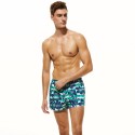 Short Pra Badedeira Men's Short Floral Striped Promo A Adjustable