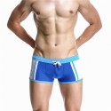 Swimwear Swimsuit Men's Swimwear Striped Summer