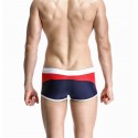Swimwear Swimsuit Men's Swimwear Striped Summer
