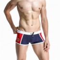 Swimwear Swimsuit Men's Swimwear Striped Summer