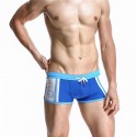 Swimwear Swimsuit Men's Swimwear Striped Summer