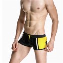 Swimwear Swimsuit Men's Swimwear Striped Summer