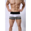 Men's BodyBuilding Underwear Fashion Summer Beach Striped Sunga