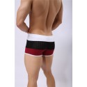 Men's BodyBuilding Underwear Fashion Summer Beach Striped Sunga
