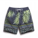 Bermuda Tropical Folhas de Palmeira Masculina Estampado Escuro Listras