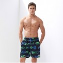 Male Floral Print Pattern Tropical Short Brazil Striped Beach Fashion