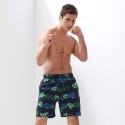 Male Floral Print Pattern Tropical Short Brazil Striped Beach Fashion