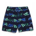 Male Floral Print Pattern Tropical Short Brazil Striped Beach Fashion