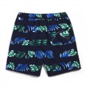 Male Floral Print Pattern Tropical Short Brazil Striped Beach Fashion