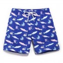 Short Casual Moda Praia Masculino Estampado Peixes do Oceano Bonito