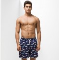 Short Casual Moda Praia Masculino Estampado Peixes do Oceano Bonito