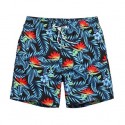 Short Flor de Lotus Masculino com Estampa Bonita Colorido Cor Frias