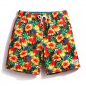 Short Floral Brasileiro Tropical Colorido em Tons Fortes Masculino