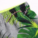 Short Brazilian Holiday Print with Banana Leaves and Coconut Palm Trees
