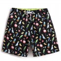 Short Enfeitados Masculino Colorido de Pontinhos Flamingo Avés Casual