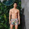 Bermuda Tropical Fruit Print men's swimwear