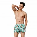 Bermuda Tropical Fruit Print men's swimwear