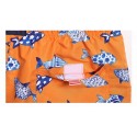 Men's Bermuda fish print orange swimwear