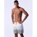 Men's Floral print and pineapple fashion summer churn shorts