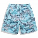 Men's Short pattern cartoon scribble Blue clear shark