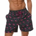 Short Casual Masculino Estampa Animal de Aves Moda Praia