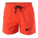 Men's Short Short Swimwear & Above Knee Training