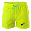 Men's Short Short Swimwear & Above Knee Training