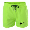 Men's Short Short Swimwear & Above Knee Training