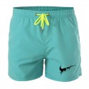 Short Curto Masculino Moda Praia e Treino Acima do Joelho