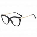 Women's Transparent Clear Frame