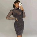Luxury Dress Fashion Metallic Long Sleeve Transparent
