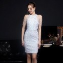 Elegant Luxury Party Dress Women of High Society