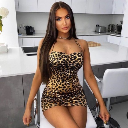 Leopard Printed Leopard Glue Dress