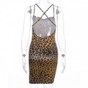 Leopard Printed Leopard Glue Dress