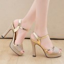 Womens Elegant Gold High Heel Shoe