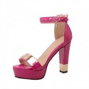 Womens Shoe Elegant Social High Heel