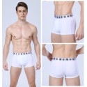 Cueca Boxer Branca Masculina Lisa Básica Calvin Bordada Diversas Cores Sol