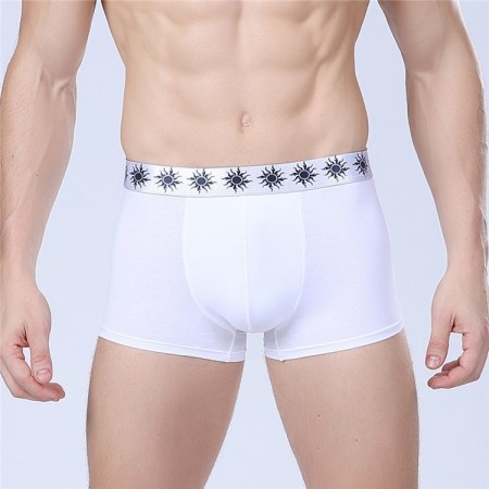 Cueca Boxer Branca Masculina Lisa Básica Calvin Bordada Diversas Cores Sol